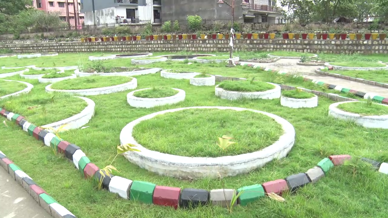 International Yoga Day 2025