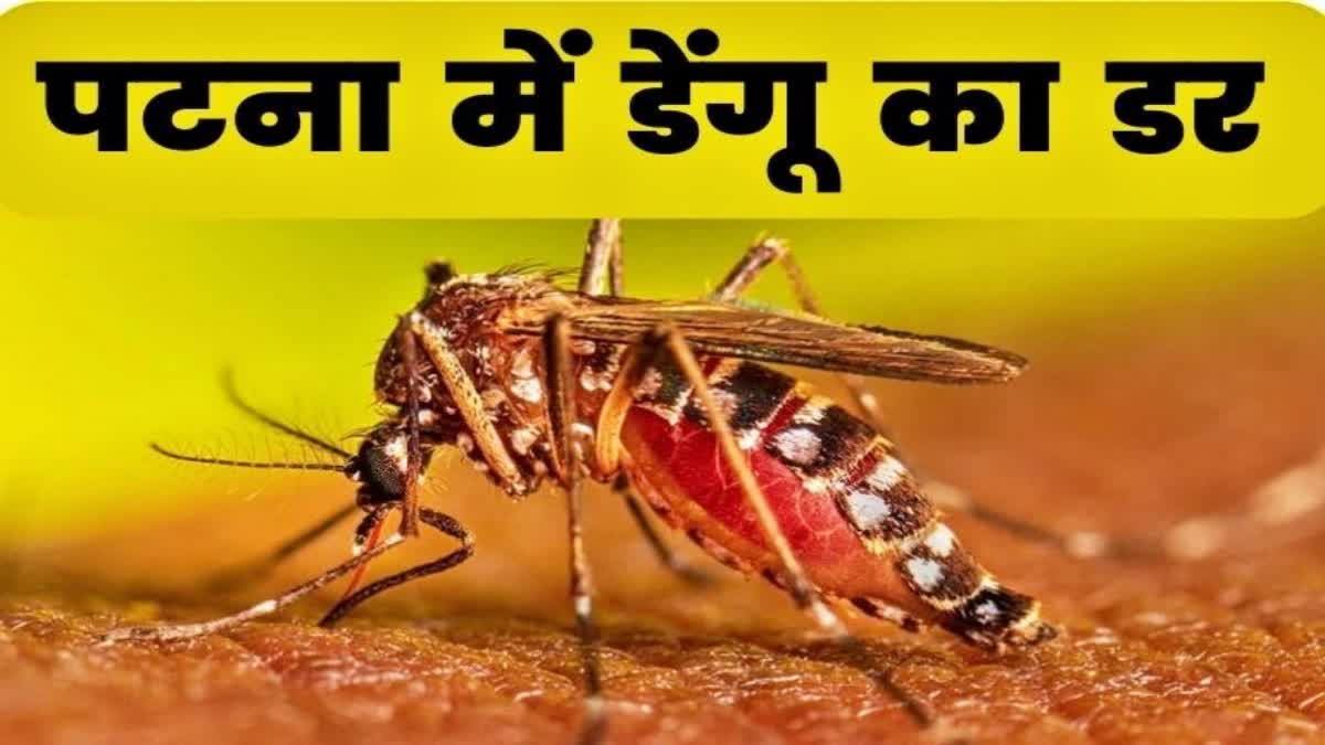 राजधानी में मिले डेंगू के 6 मरीज