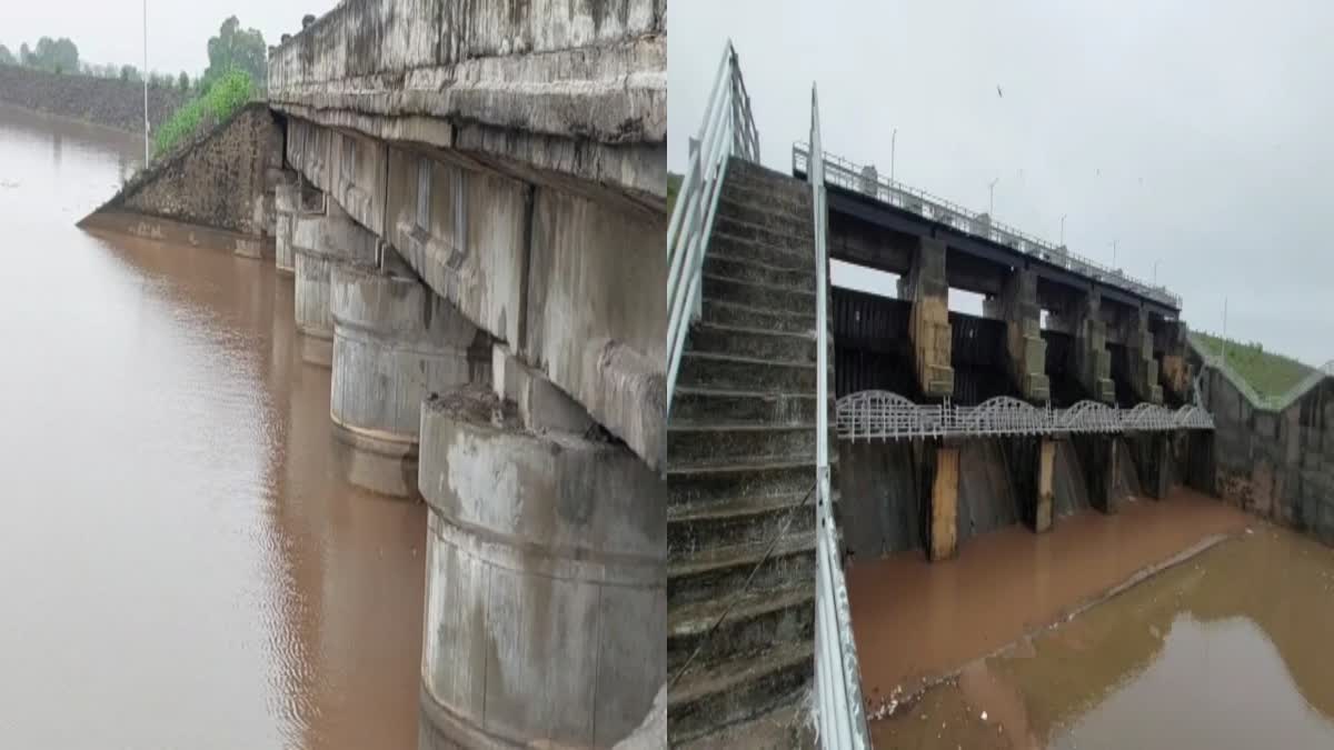 Amreli Rain Update : અમરેલીના વડીયા તાલુકામાં ભારે વરસાદ બાદ સુરવો ડેમ હર્યોભર્યો થયો, નીચાણવાળા વિસ્તારો એલર્ટ