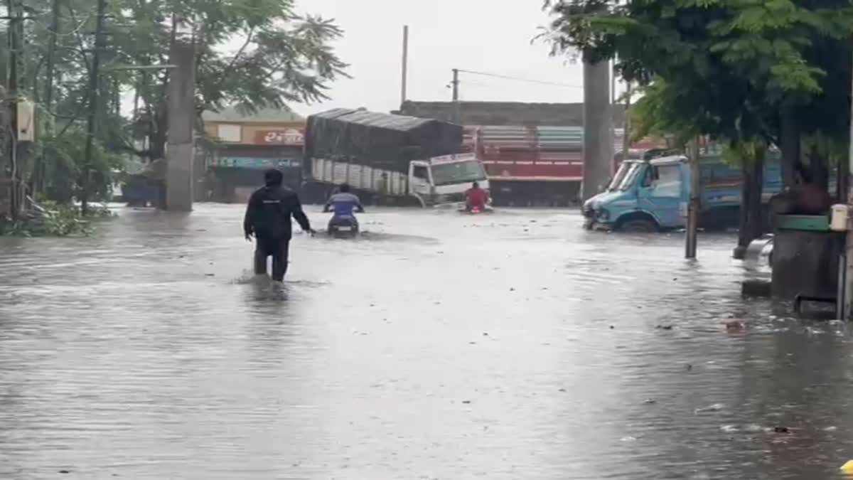 Junagadh Rain: જૂનાગઢ-ગીર સોમનાથ જિલ્લાને મેઘરાજાએ ઘમરોડ્યું,  11 ઇંચ વરસાદથી સ્થળ ત્યાં જળ