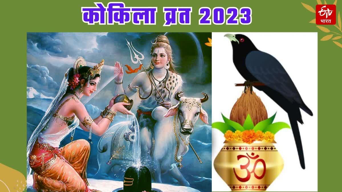 Kokila Vrat 2023 Date and significance of Vrat