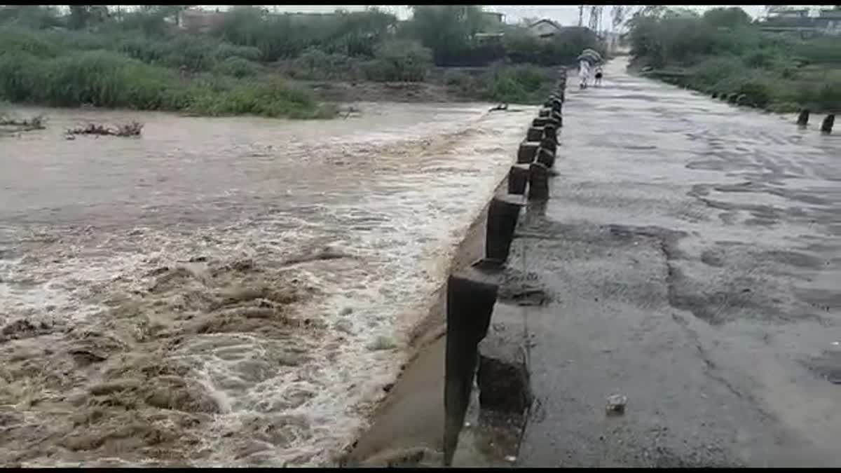 Amreli Rain : અમરેલી જિલ્લામાં સાર્વત્રિક મેઘમહેરથી લોકોમાં આનંદ, અનેક નદીઓમાં ઘોડાપૂરની સ્થિતિ