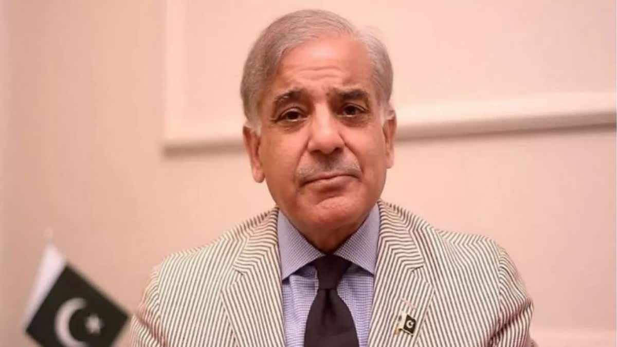 Pakistan Prime Minister Shehbaz Sharif