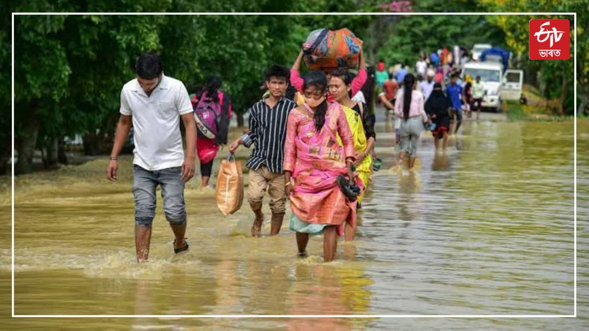 Assam flood update