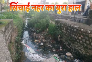 haldwani canal news