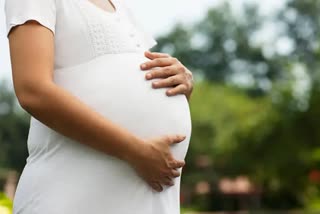 Etv BharatGuidance During Pregnancy