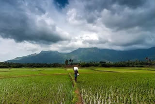 Explained: Why July monsoon rains are crucial for food production?