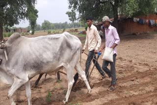 Mahisagar Rain : મહીસાગરમાં ખેડૂતોએ વાવણી સાથે સારા પાકની રાખી આશા, હવે બધો આધાર મેઘરાજાના મુડ પર