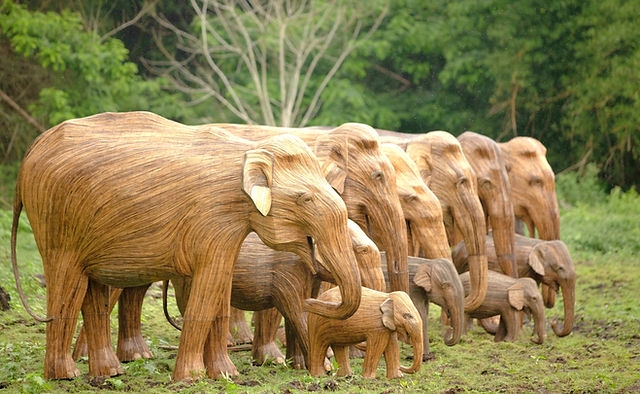 Nilgiris two tribal got Englands Mark Shand award  Mark Shand award From UK King and Queen  Mark Shand award  Mark Shand award Nilgiri youth  Nilgiris two tribal Mark Shand award  lantana camara  latana elephants  elephants  മാർക്ക് ഷണ്ട് അവാർഡ്  നീലഗിരി  നീലഗിരി ഗോത്രവർഗത്തിലെ യുവാക്കൾക്ക് അവാർഡ്  ലന്താന കാമറ  ലന്താന കാമറ ആനകൾ  ആനകൾ അവാർഡ്  നീലഗിരി യുവാക്കൾക്ക് ഇംഗ്ലണ്ട് അവാഡ്  ആന  ഇംഗ്ലണ്ട്  ഇംഗ്ലണ്ട് അവാർഡ്