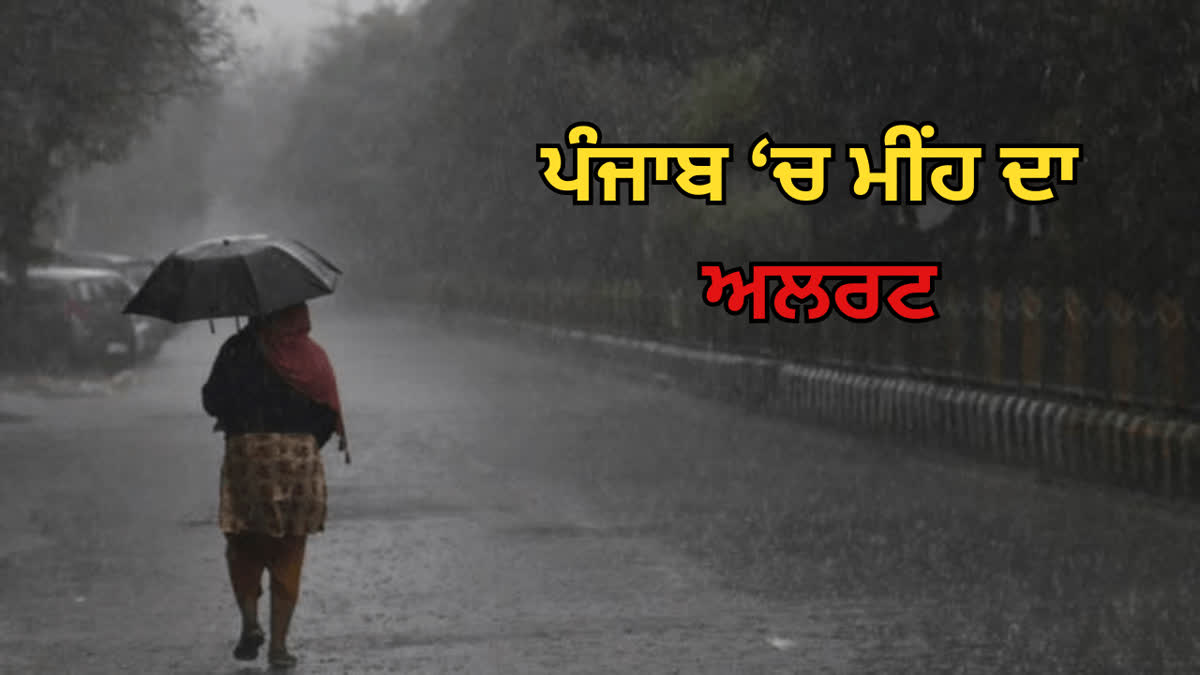 punjab weather update