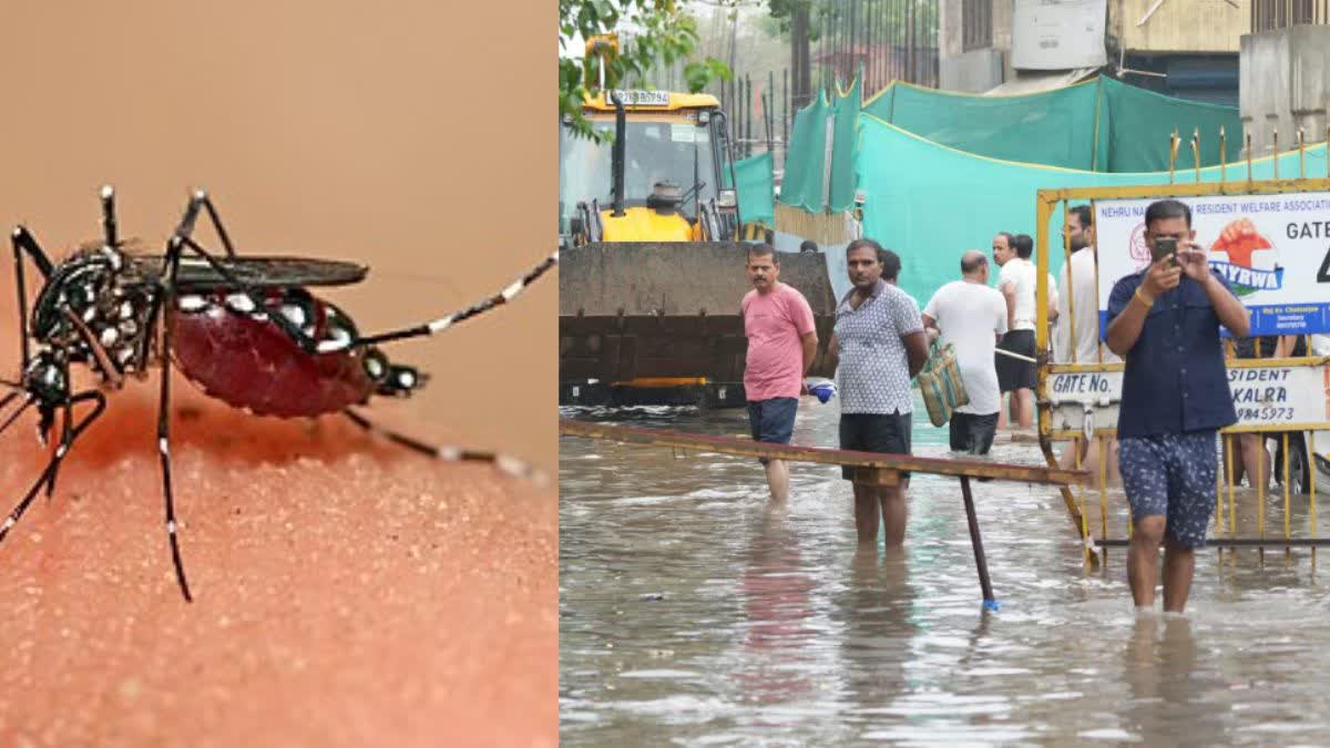 दिल्ली में भारी बारिश के बाद डेंगू फैलने का खतरा