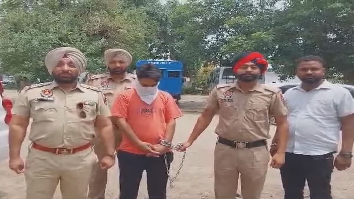hoshiarpur news nephew killed his uncle out of greed for money