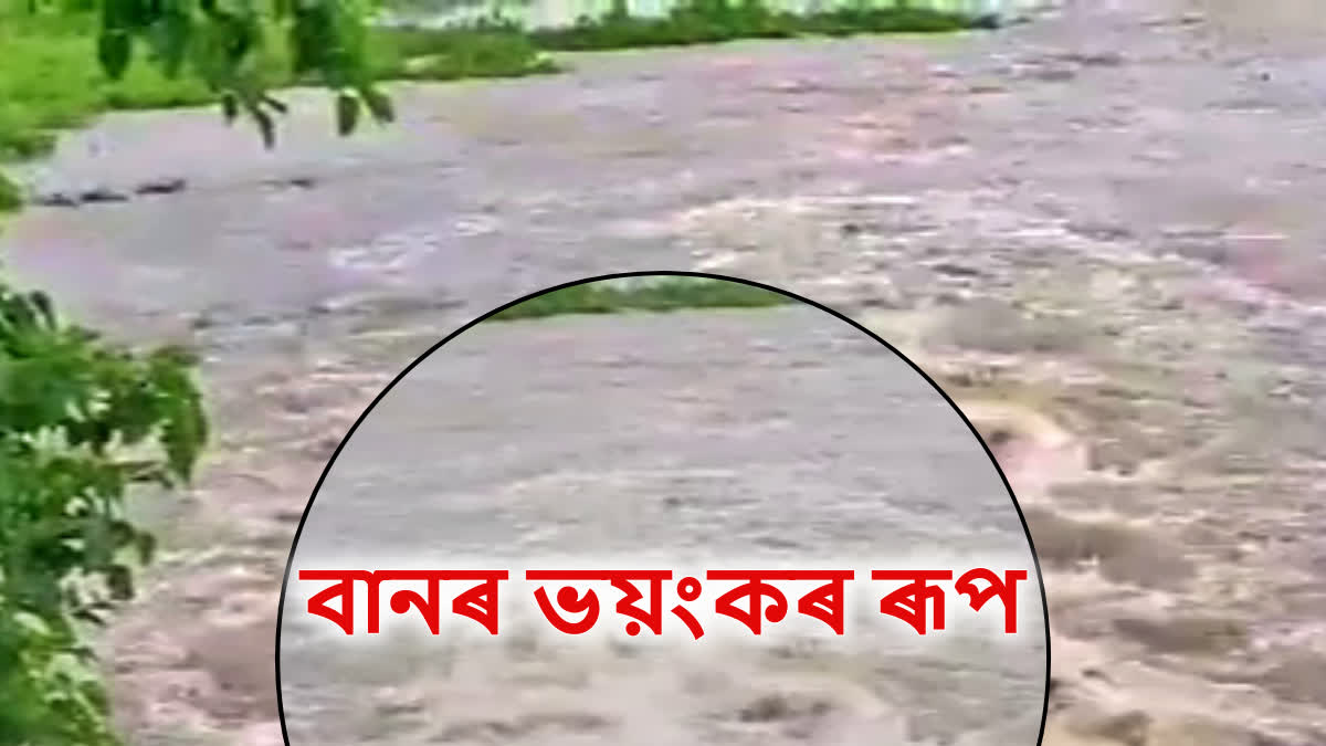 Flood in Assam