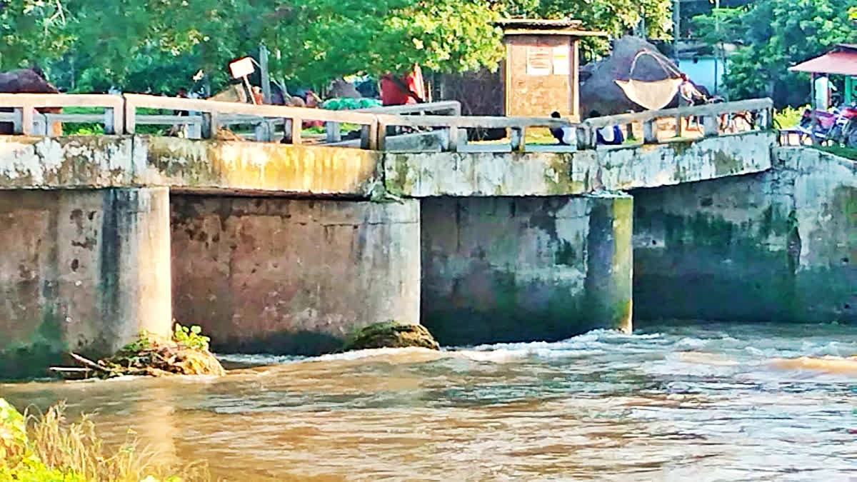 Pillar of bridges sinks at Bihar's Kishanganj