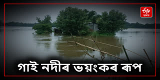 Flood situation unchanged at several places in Dhemaji, many families in the grip of floods