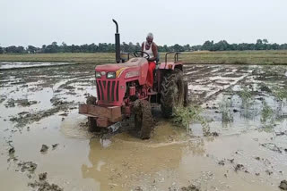 Monsoon Rain In Masaurhi