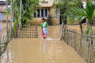 Assam floods