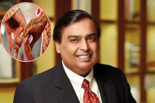 Mukesh Ambani On Collective Wedding Ceremony