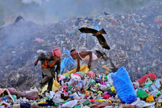 Waste pickers Salmaa and Usmaan Shekh, right, search for recyclable materials during a heat wave at a garbage dump on the outskirts of Jammu, India, Wednesday, June 19, 2024.