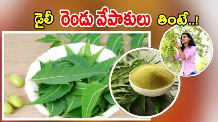 Neem Leaves Benefits