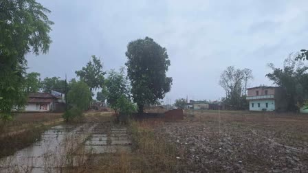 Rain In Palamu