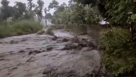 Rain in North Bengal