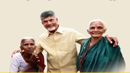 pension_distribution_in_ap