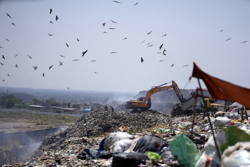 Waste pickers look for items that could be recycled as birds fly over a garbage dump during a heat wave on the outskirts of Jammu