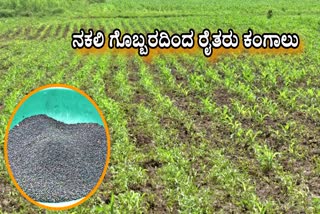 HAVERI  FAKE FERTILIZER  ನಕಲಿ ಡಿಎಪಿ ಗೊಬ್ಬರ  DAP FERTILIZER