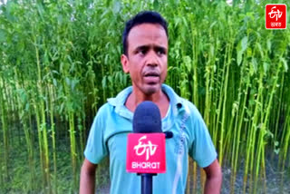 life struggle of cultivator Ismail Mondal