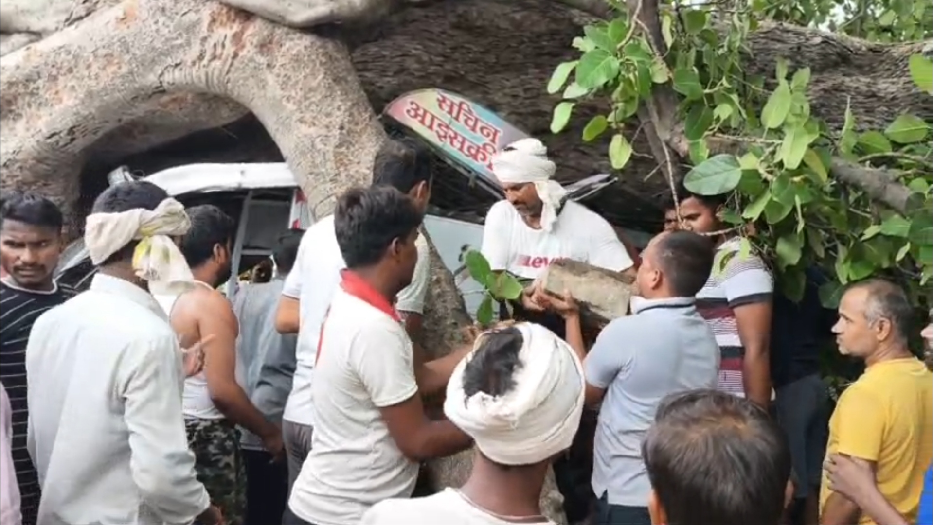 Rewa tree fell on 10 peoples