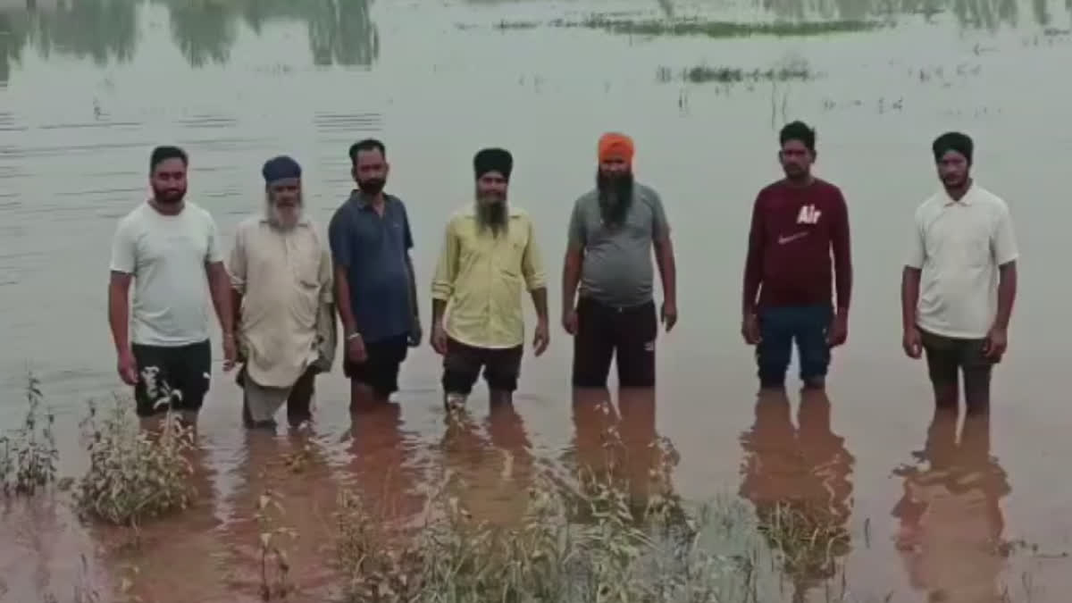 Many villages of Pathankot affected due to increased water level in Ravi river