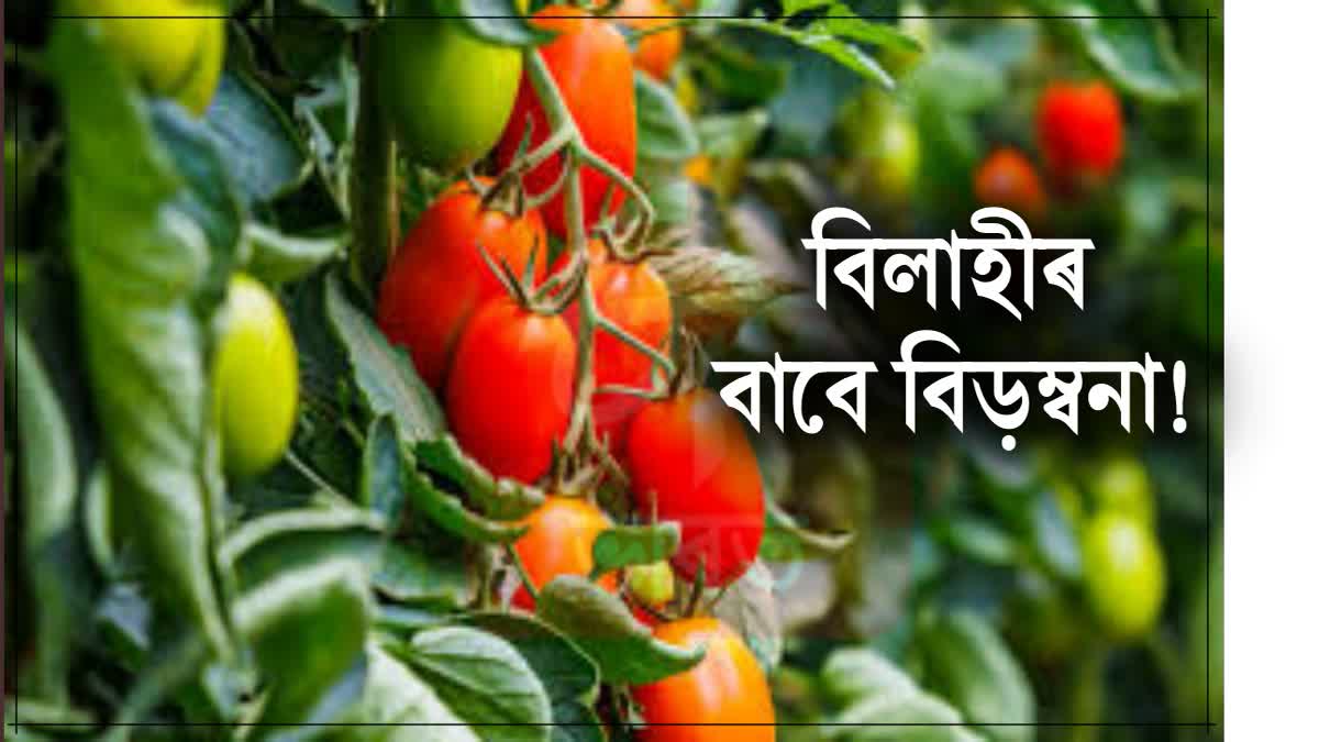 Two minors held hostage for tomatoes in Cuttack