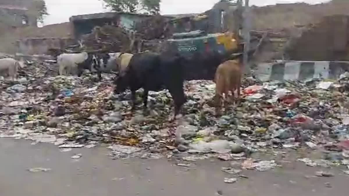 People are troubled by problem of garbage