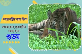 Lions Club Guwahati adopt a tiger for one year