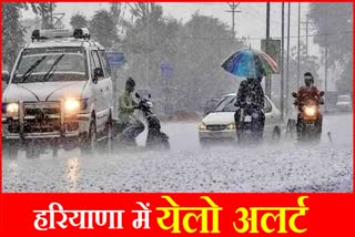 yellow alert in Haryana