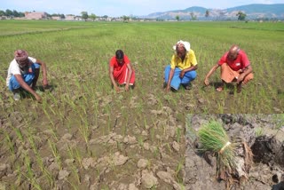 Jharkhand Farmers