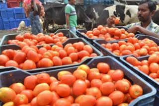 Tomato in Tamil Nadu