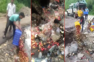 HIMACHAL GARDENERS THREW APPLES INTO DRAIN HIMACHAL APPLE SEASON GARDENERS THREW APPLES VIDEO VIRAL