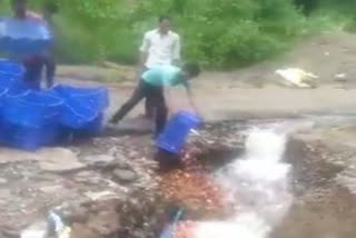 Himachal Pradesh: Viral video shows apple being thrown in river; growers stare at uncertain future