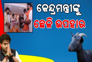 କେନ୍ଦ୍ରମନ୍ତ୍ରୀ ଜୋତିରାଦିତ୍ୟ ସିନ୍ଧିଆଙ୍କୁ ଛେଳି ଉପହାର