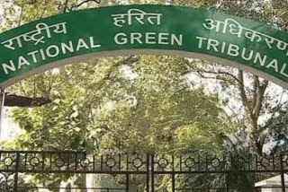 NGT DELHI