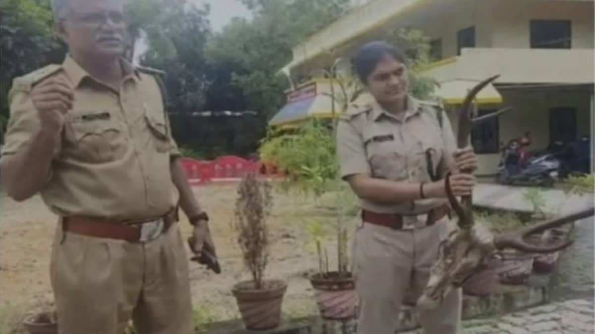 DEER ANTLERS  STOLEN DEER ANTLERS IN AMBALAPUZHA  മാൻകൊമ്പുമായി യുവാക്കൾ പിടിയിൽ  മാൻകൊമ്പ്‌ മോഷ്‌ടിച്ചു