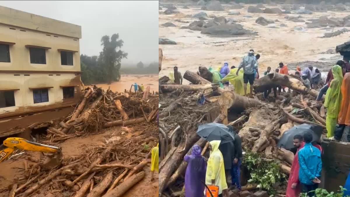 WAYANAD LANDSLIDE UPDATE  വയനാട് ഉരുൾപൊട്ടൽ  LATEST NEWS MALAYALAM  വയനാട് ഉരുൾപൊട്ടൽ മരണസംഖ്യ