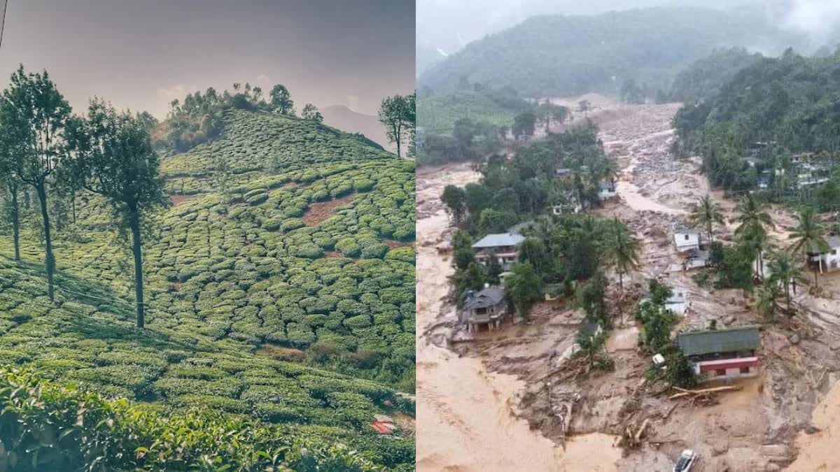 WAYANAD LANDSLIDE VICTIMS  LANDSLIDE VICTIMS IN HOSPITALS  LANDSLIDE IN WAYANAD  വയനാട്‌ ഉരുള്‍പൊട്ടല്‍ ആശുപത്രി