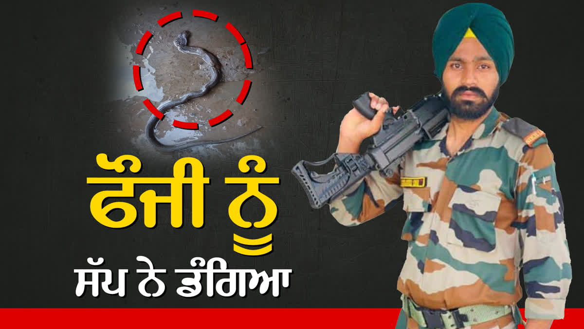 barnala solider simrandeep singh of died due to snake bite