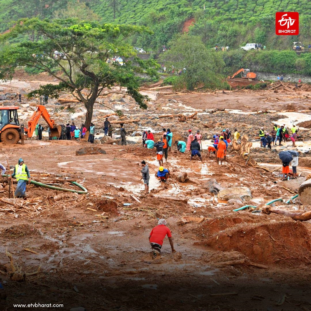 Wayanad landslides leave a trail of destruction