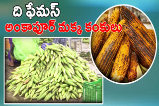 Farmers on Maize in Ankapur