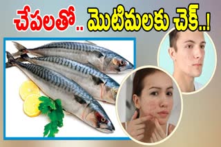 FISH BENEFITS FOR SKIN
