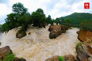 ஒகேனக்கல் அருவி